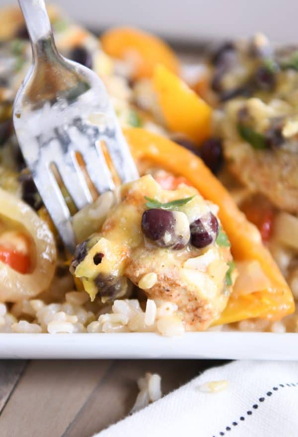 Taking bite of cheesy chicken enchilada bake and brown rice.