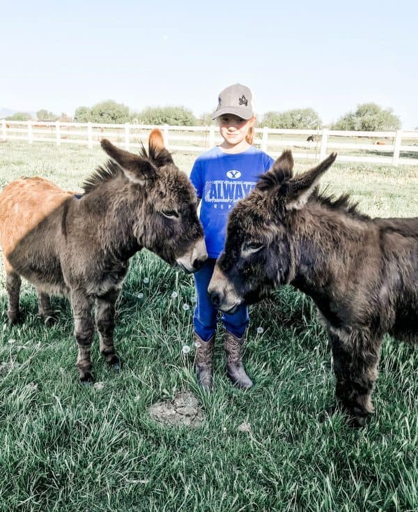 girl standing between two miniature donkeys