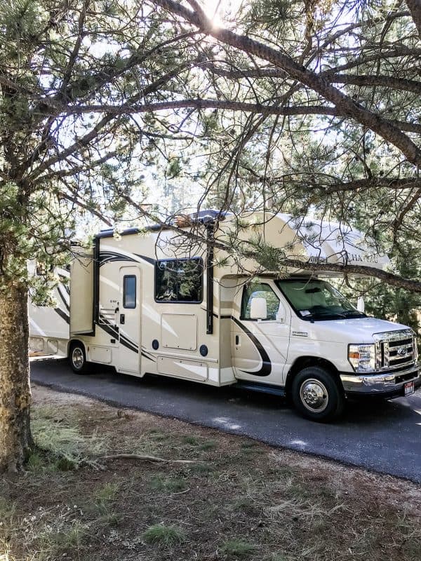 rv motorhome parked under trees