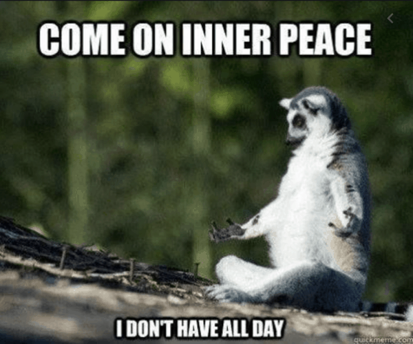 meme lemur doing yoga come on inner peace i don't have all day