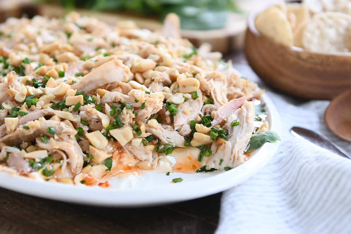 https://www.melskitchencafe.com/wp-content/uploads/2020/09/sesame-thai-chicken-dip7.jpg