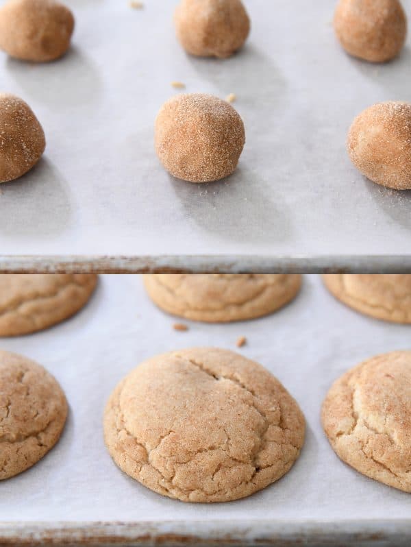 Snickerdoodle ball rolled in cinnamon and sugar and baked tray of snickerdoodles.
