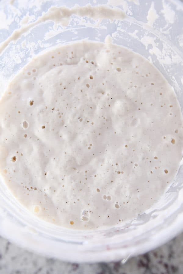 Bubbling fed sourdough starter in plastic bucket.