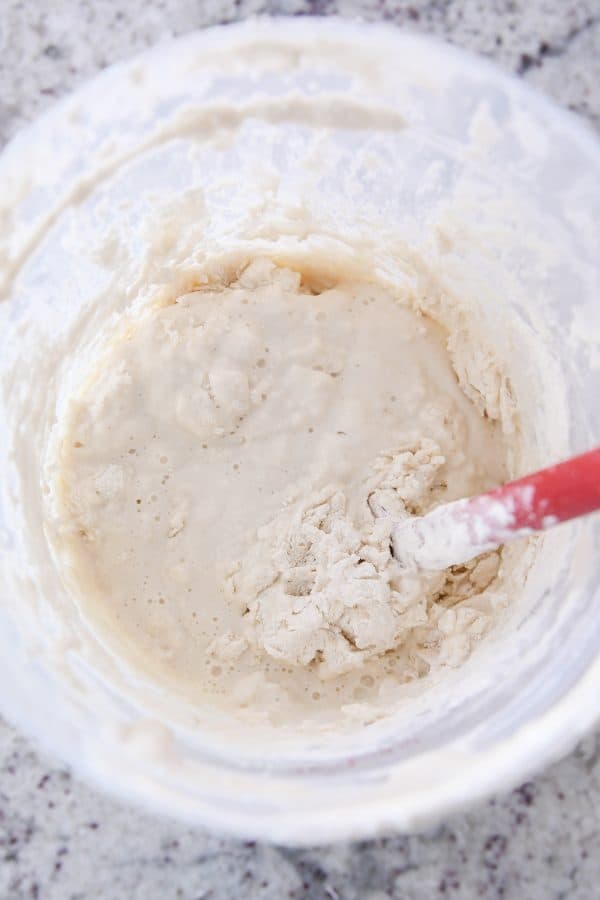 Stirring flour and water into sourdough starter.
