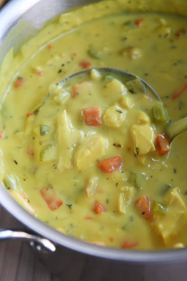 ladle in pot with creamy chicken soup