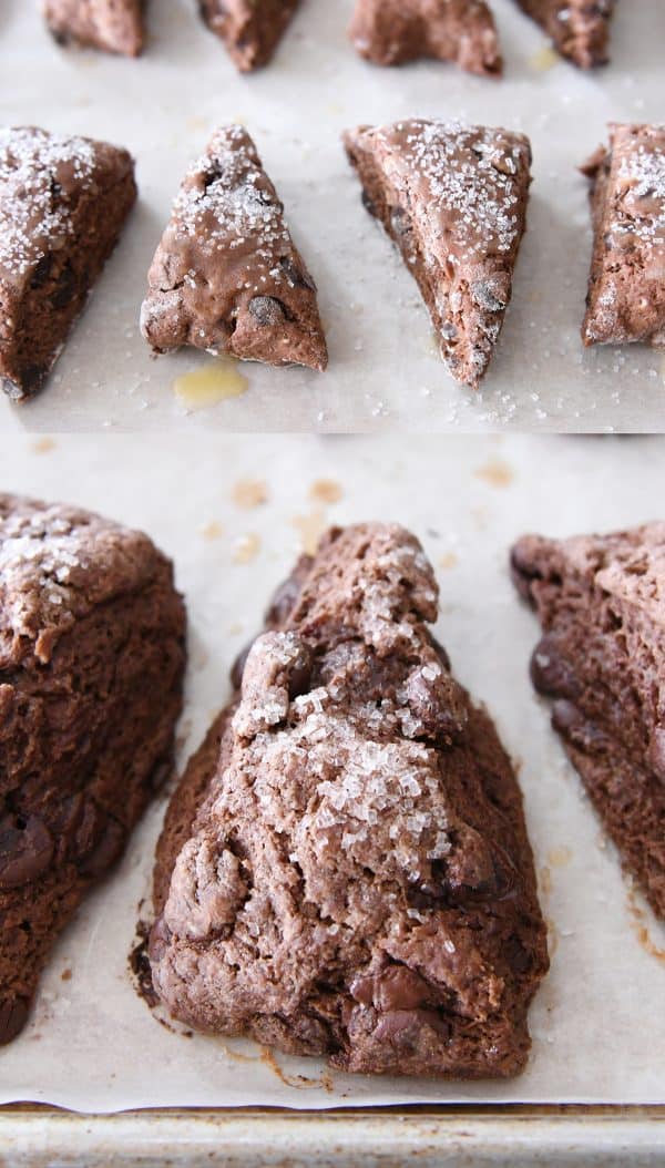 Baked chocolate scones on parchment lined sheet pan.