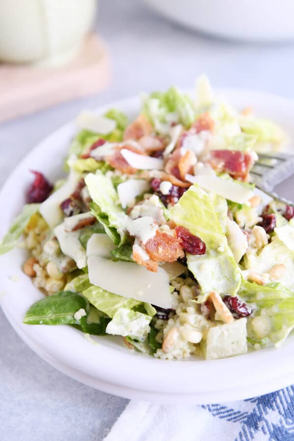 White plate with romaine lettuce, craisins, bacon, parmesan, and fresh basil dressing.