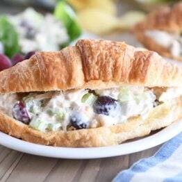 chicken salad on whole croissant on white plate