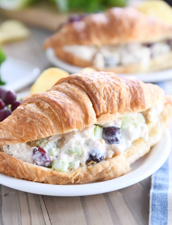 Chicken salad on croissant on white plate.