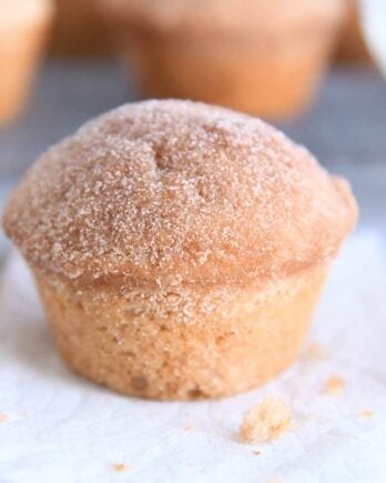 cinnamon sugar doughnut muffin on white napkin