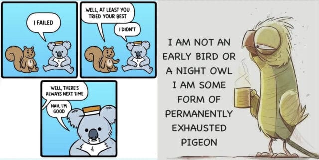 meme of tired pigeon