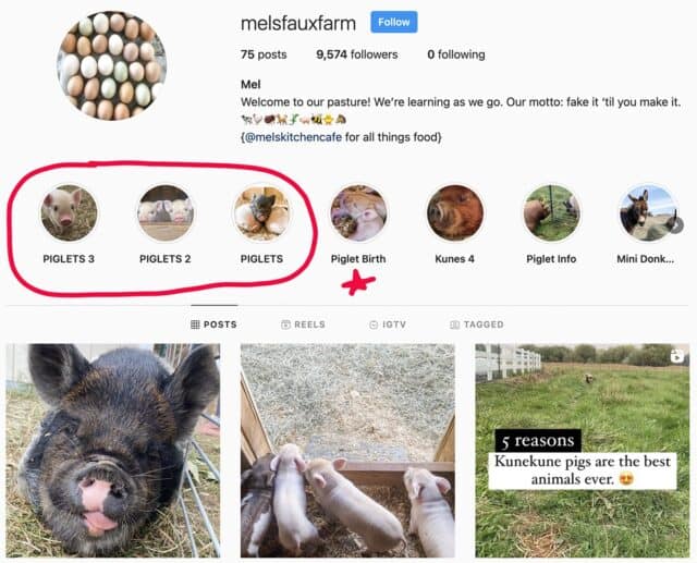 Mel's Instagram faux farm page.