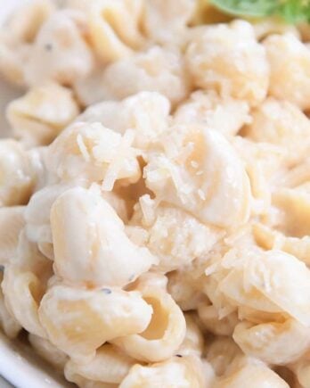 spoon scooping up pasta shells in creamy alfredo sauce in white bowl