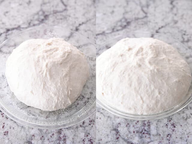 peasant bread dough rising in greased pie plate