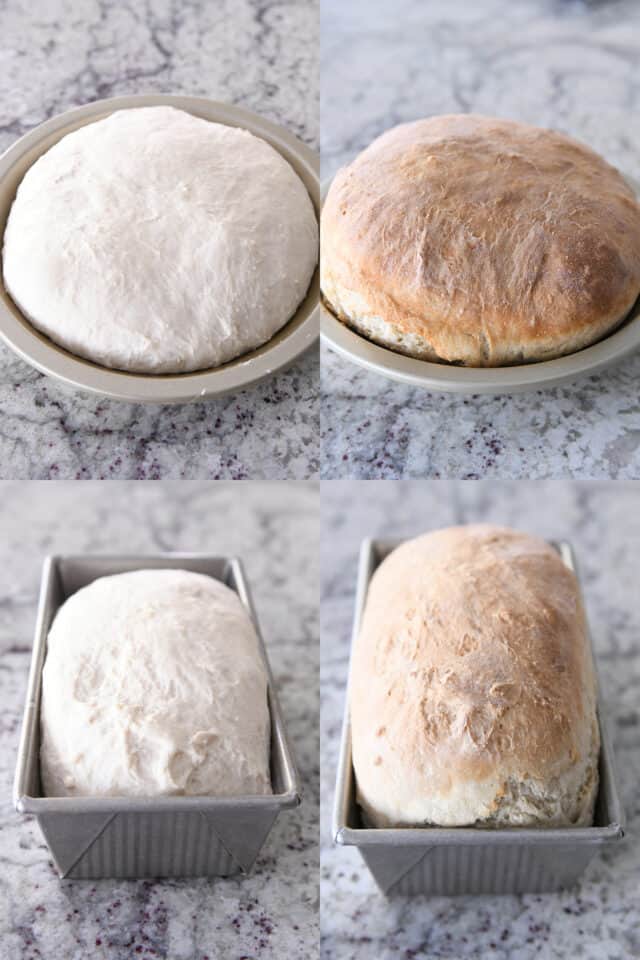 Peasant bread rising in pie plate, baked in pie plate; peasant bread rising in loaf pan, baked in loaf pan.