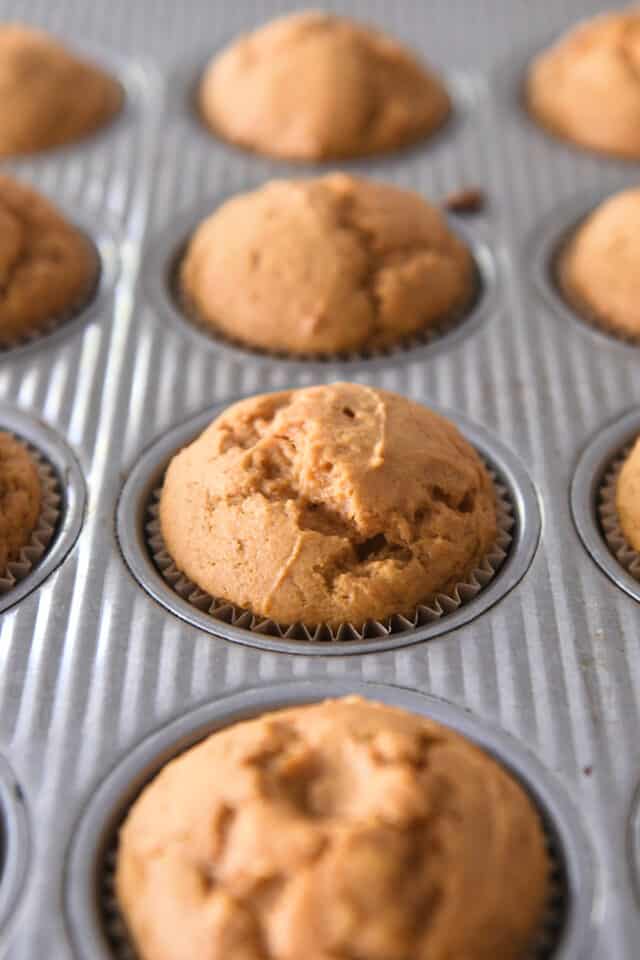 Baked sourdough pumpkin muffins in brown paper liners in muffin tin.