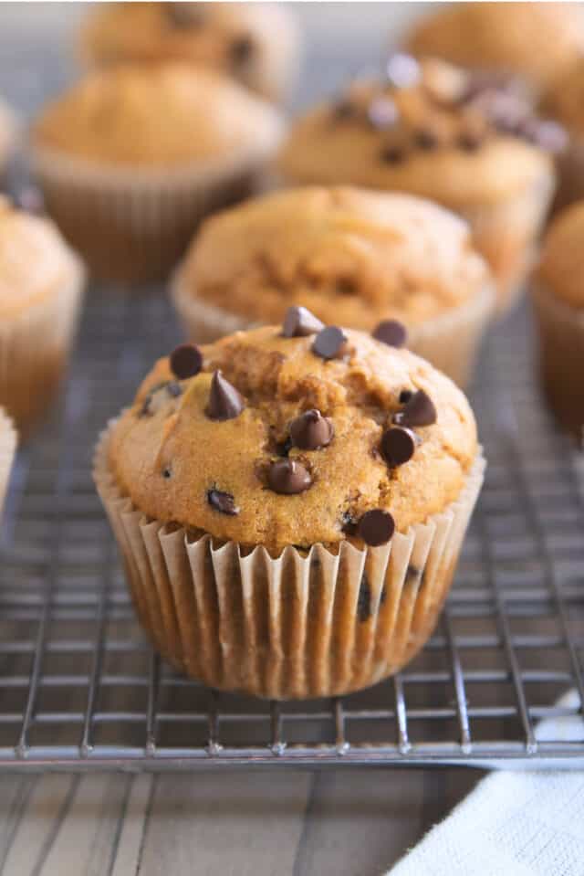 Baked sourdough pumpkin muffin with chocolate chips on metal cooling rack.