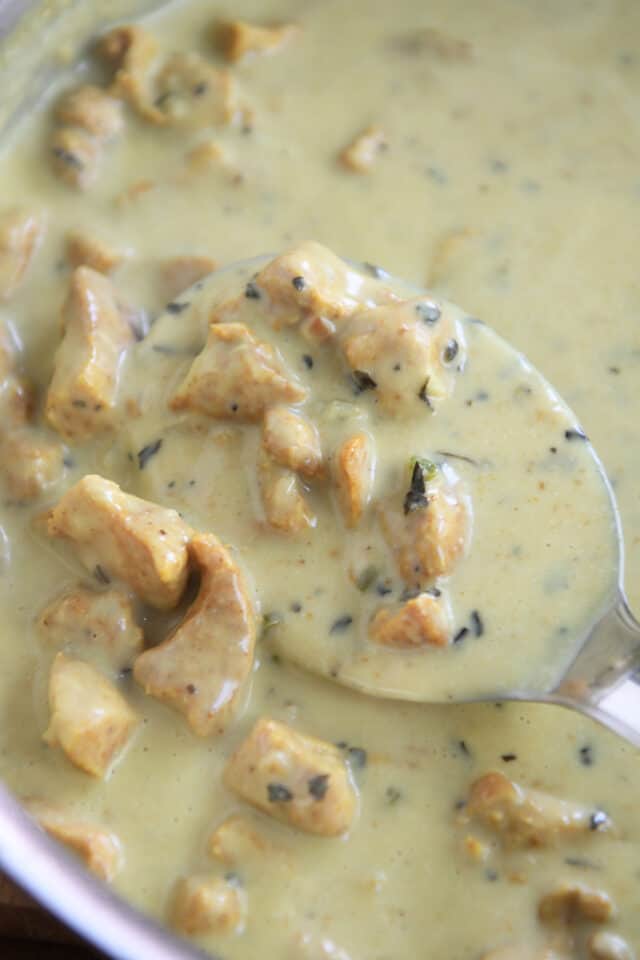 Spoon ladling out chicken pieces in coconut curry sauce from stainless pan.