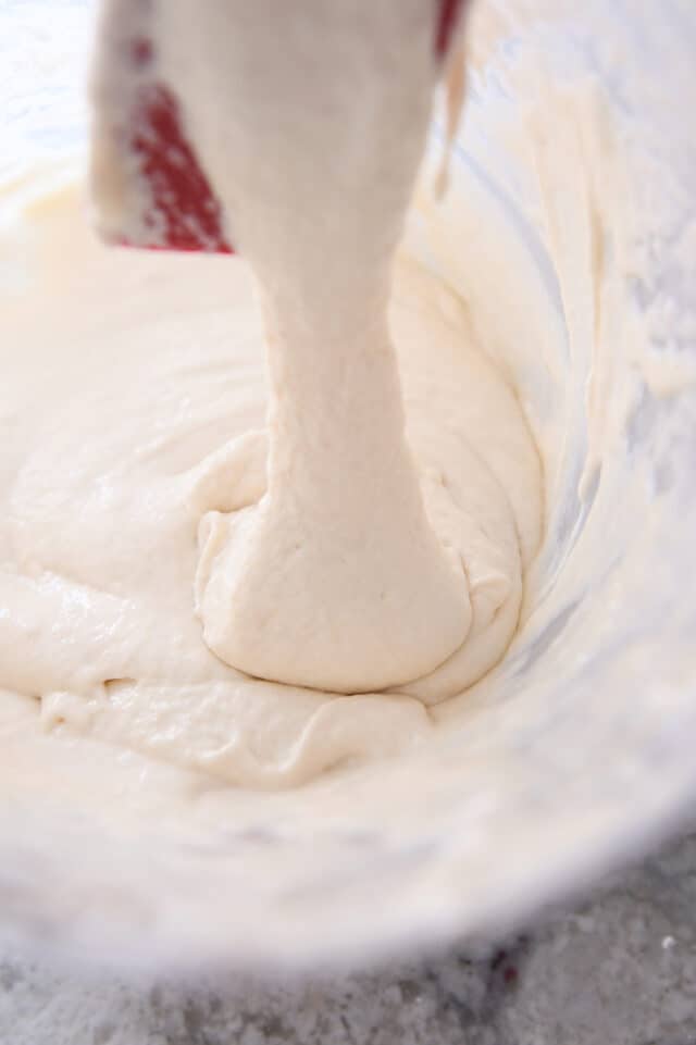 sourdough discard in plastic bucket