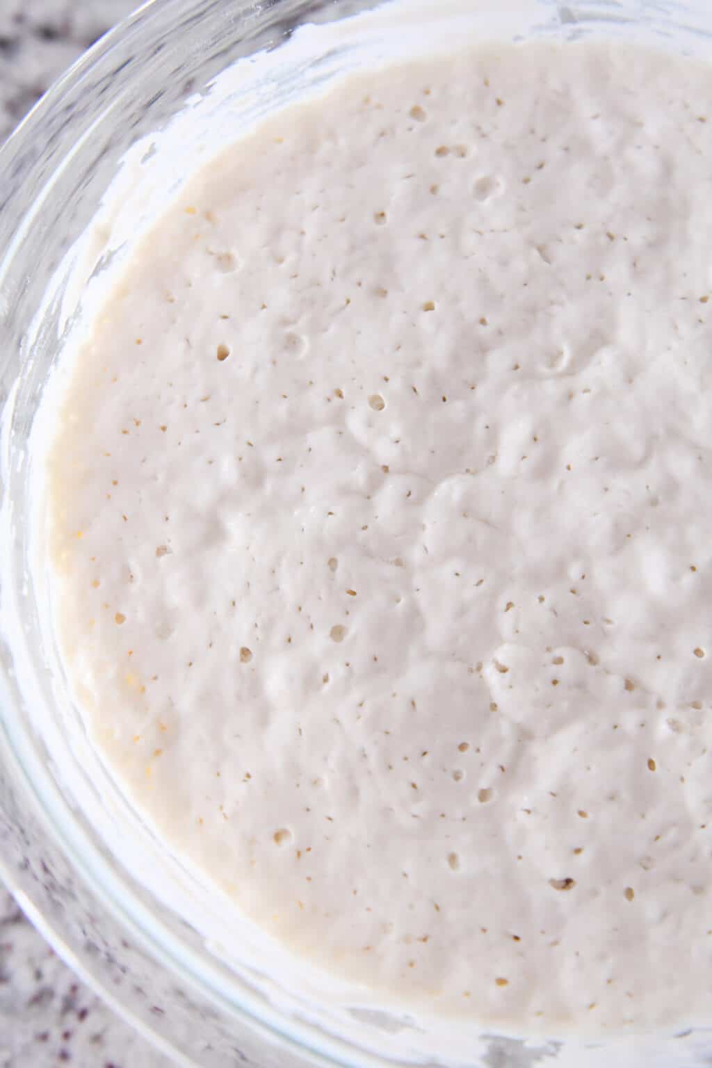 Sourdough Pancakes or Waffles {Sourdough Discard Recipe}