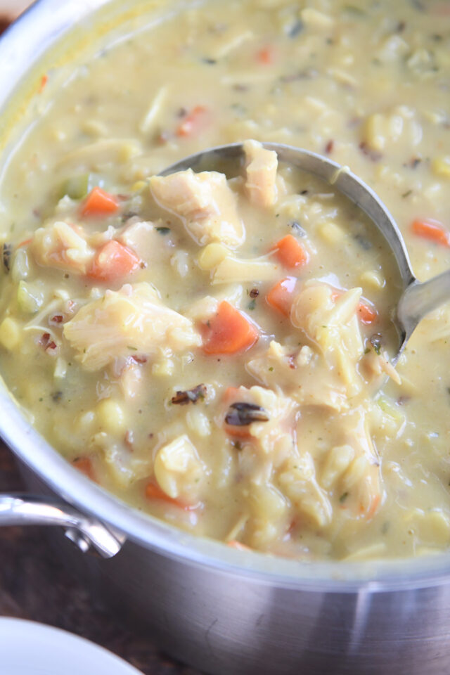 Pot of creamy chicken and wild rice soup with ladle.