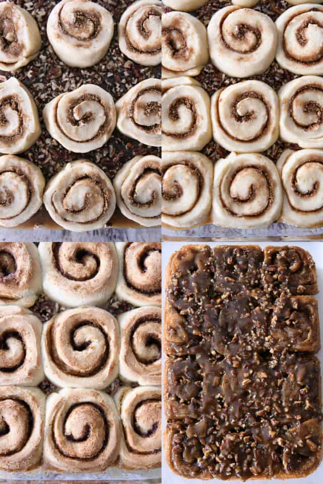 Assembling sticky buns in pan with caramel, letting rolls rise, baked rolls, rolls turned over with caramel on top.