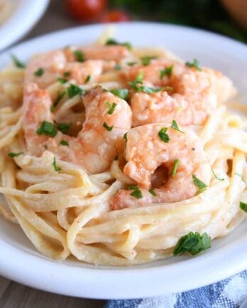 Cooked shrimp on creamy linguine on white plate.