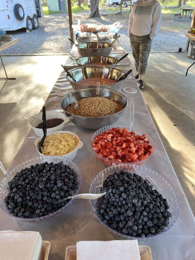 Yogurt parfait ingredients set out on table outside.