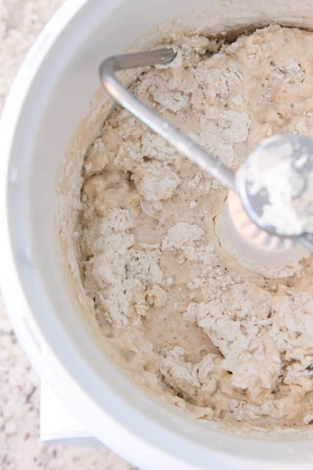 Water, flour and yeast in Bosch mixer with dough hook.