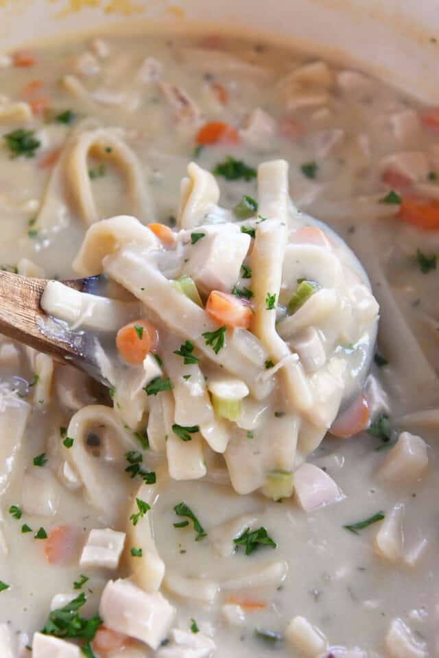 Ladle scooping up homestyle chicken noodle soup in pot.