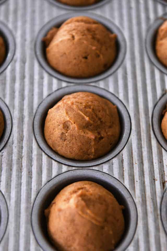 Baked mini pumpkin muffins in tin.
