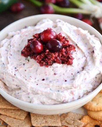 White bowl with creamy cranberry jalapeno dip, fresh cranberry salsa and fresh cranberries.