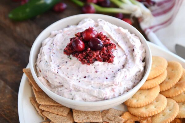 White bowl with creamy cranberry jalapeno dip, fresh cranberry salsa and fresh cranberries.