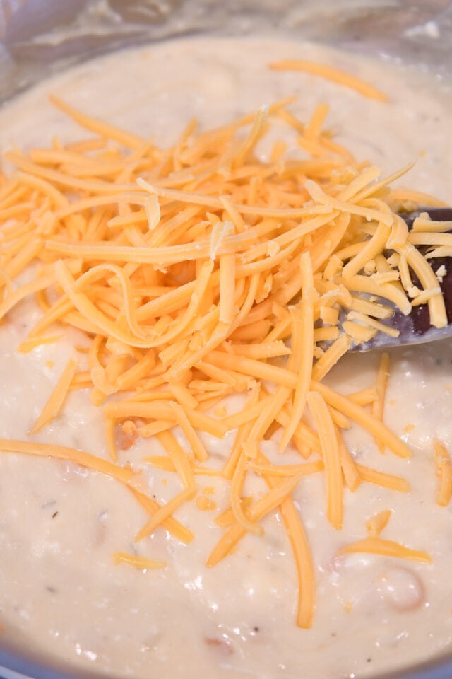Adding shredded cheddar cheese to cream sauce.