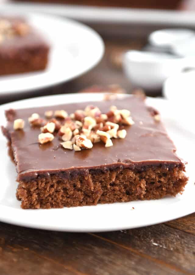 Square of frosted chocolate Texas sheet cake with pecans on top on white plate.