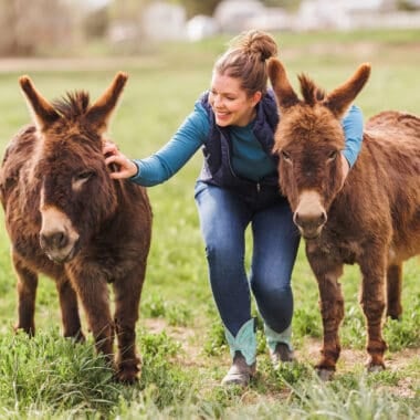Mel in pasture with two miniature donkeys