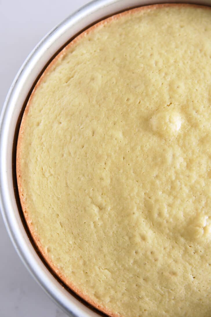Top down view of baked olive oil cake in 9-inch round baking pan.