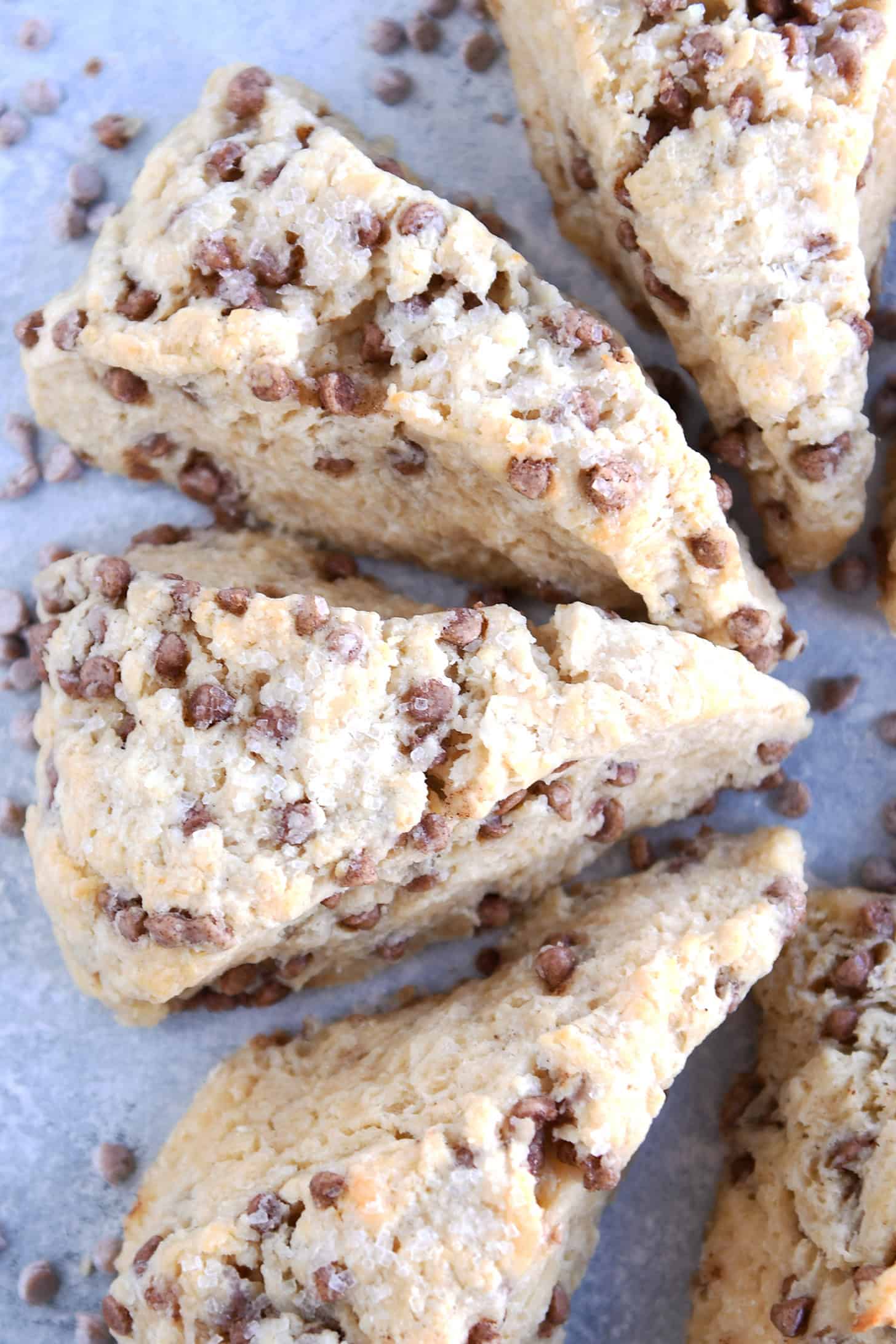 MILK&SCONE Amazing Buttermilk Scones with Cinnamon Chips