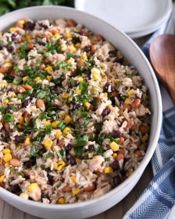 Top down view of a white oval dish with a rice, bean, and chicken salad topped with chopped cilantro.