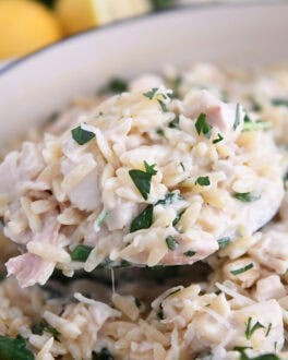Serving spoon with scoop of creamy orzo, spinach and chicken.