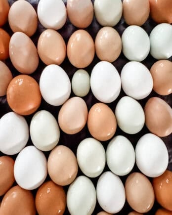 Lots of colorful eggs.