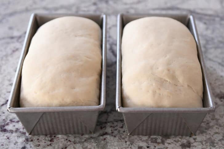 Two risen loaves of dough in two bread pans.