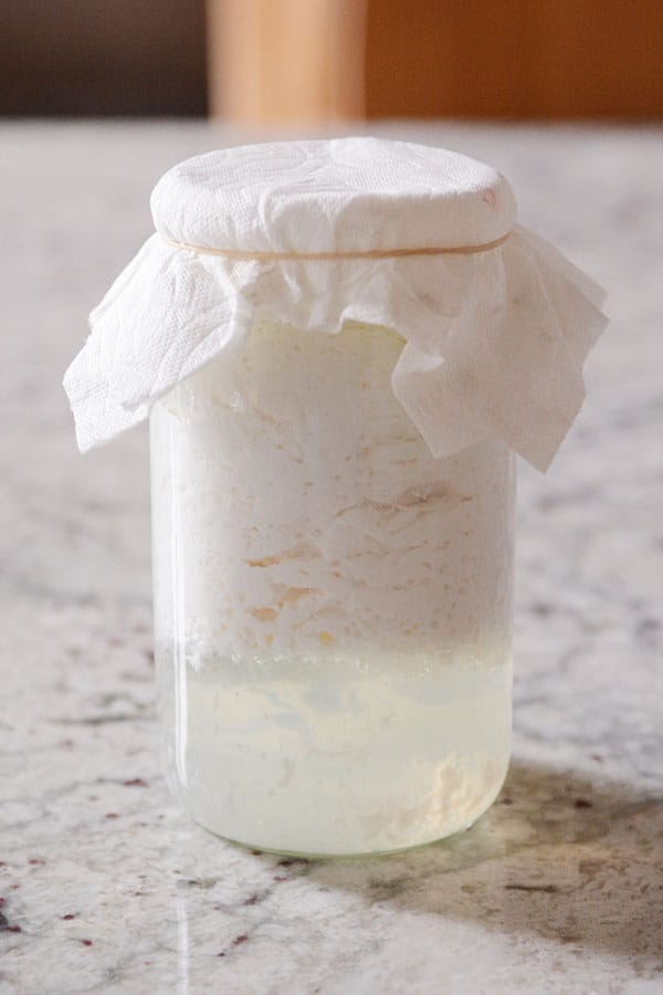 A mason jar full of kefir milk and grains and covered with a paper towel.