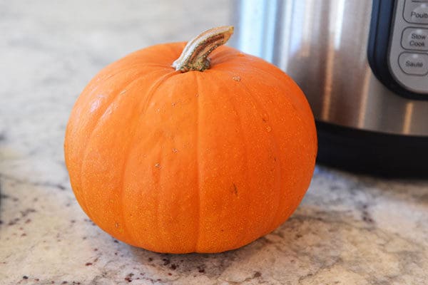 A small pie pumpkin sitting on a kitchen counter.