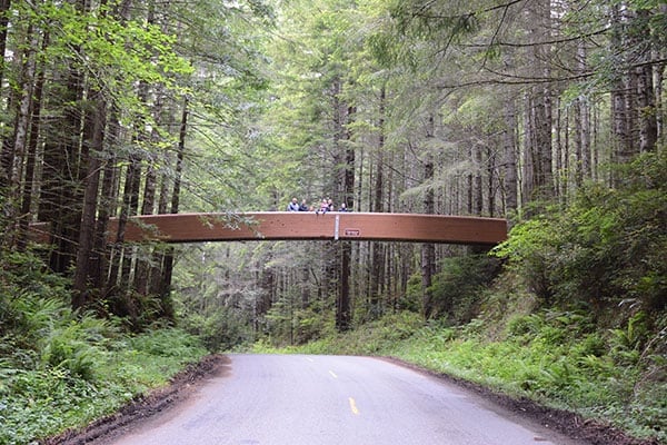 Bridge spanning road to Lady Bird Johnson Grove