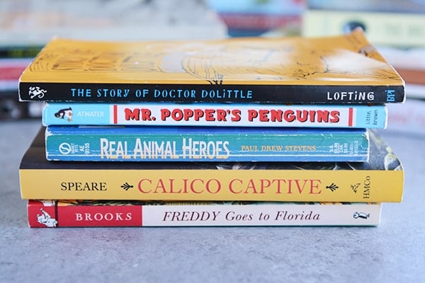 A stack of five kids chapter books on a countertop. 