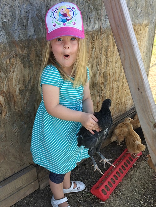 Little girl holding a chicken.
