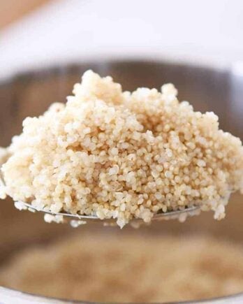 Spoonful of cooked quinoa in the Instant Pot.