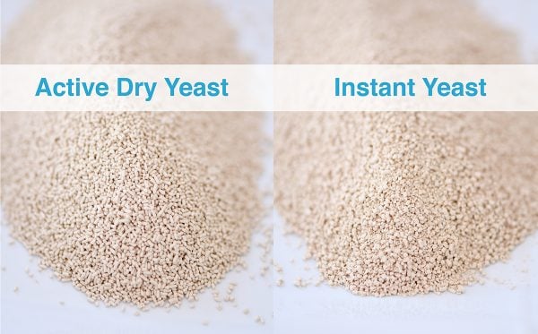 Active dry yeast and instant yeast