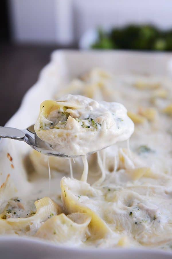 A spoon taking an alfredo-topped jumbo pasta shell out of a casserole dish of more shells.